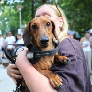 Festiwal jamników w Zagrzebiu