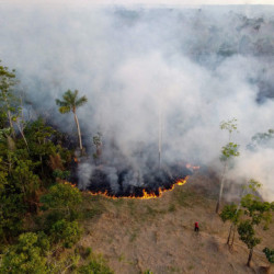 Nielegalne pożary w Amazonii