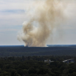 Eksplozje i pożar w berlińskim lesie Grunewald