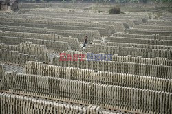 Fabryka cegieł w Bangladeszu - AFP