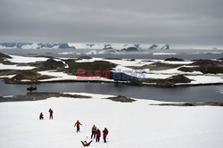 Turystyka na Antarktydzie - AFP