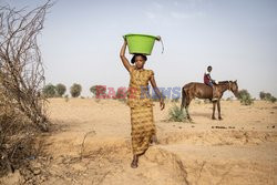 Susza w Senegalu - AFP