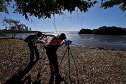 Mangrowce w Panamie - AFP