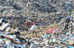 Składowisko odpadów w Indiach