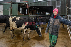 Życie codzienne na farmie mlecznej w Irlandii