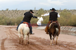 Konni pocztowcy z Hashknife Pony Express w Arizonie