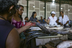 Zakup ryby na Święta w Recife