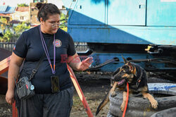 Zajęcia poszukiwawczo-ratownicze dla psów w Manili