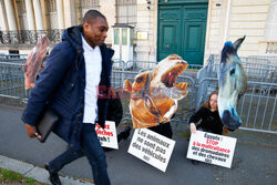 Protest PETA w Paryżu