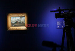 Polski van Gogh dostępny dla publiczności