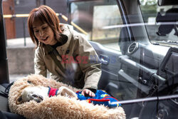 Kabosu - pies z loga kryptowaluty Dogecoin - AFP