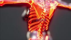 Stosowanie ibuprofenu może zwiększyć ryzyko przewlekłego bólu - Cover Images