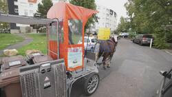 Queteur, the horse that collects food waste near Paris - AFP