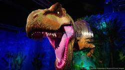 Giant LEGO Dinosaurs Bring Jurassic World To Queensland Museum