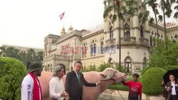 Thai PM meets $500,000 giant albino buffalo - AFP