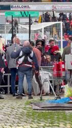 US actor/Wrexham FC co-owner Rob McElhenney greets fans in the rain as he arrives to the racecourse ground in Wrexham