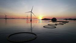 'Wind Theft' Threatens Offshore Wind Farms and Net Zero Goals