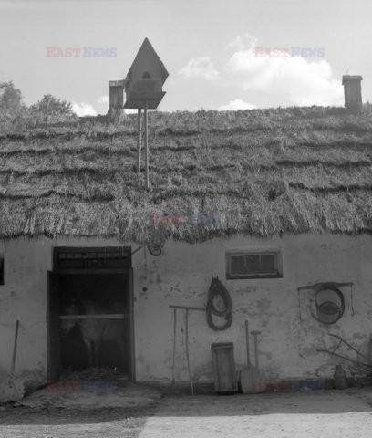 Rzeka kłamstwa