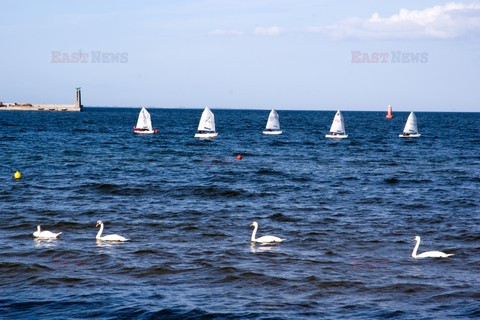 Pomorze MarMi