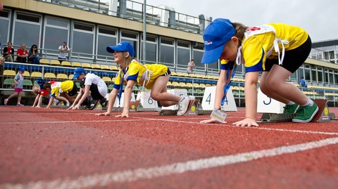 Onko-olimpiada 2012