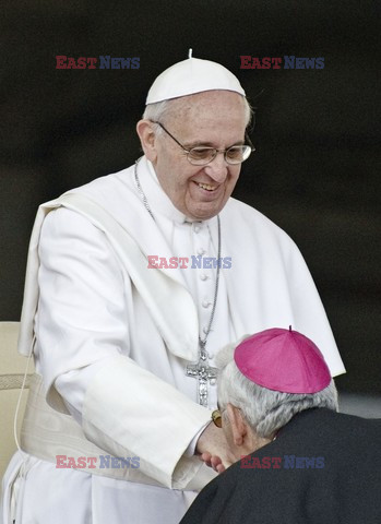 Papież Franciszek podczas audiencji na Placu św. Piotra