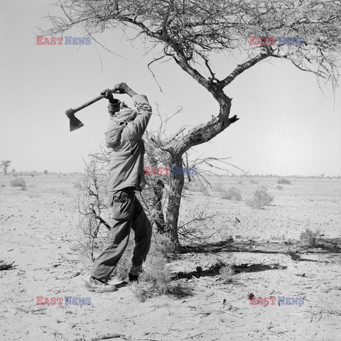 Mieszkańcy Sahary - Vu Images