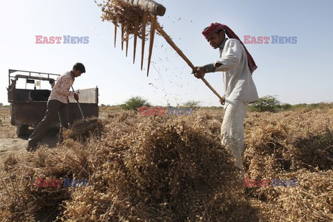 Rural Gujarat - India