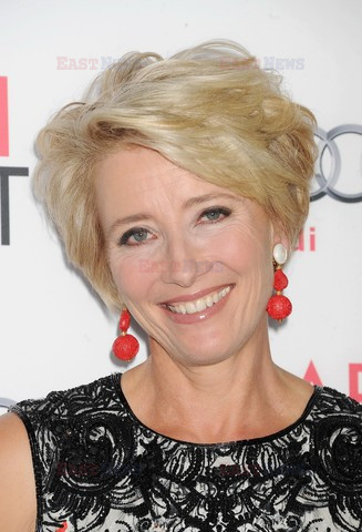 AFI Fest 2013 