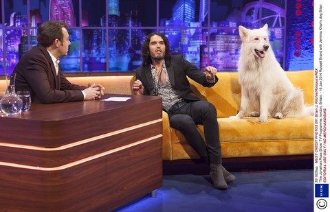 Gwiazdy w talk shows