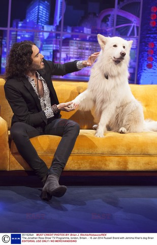 Gwiazdy w talk shows
