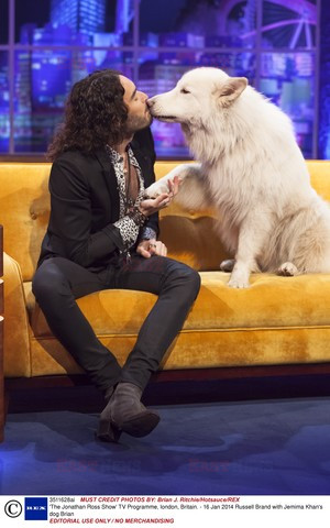 Gwiazdy w talk shows