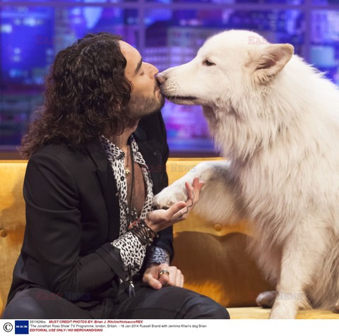 Gwiazdy w talk shows