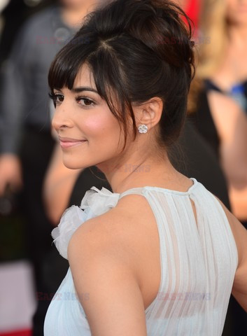 Screen Actors Guild Award