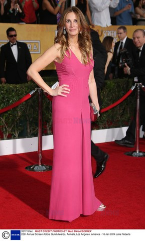 Screen Actors Guild Award
