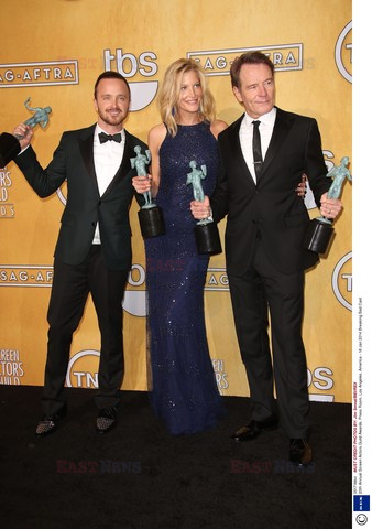 Screen Actors Guild Award