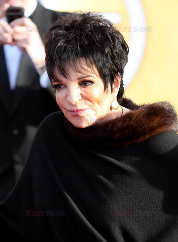 Screen Actors Guild Award