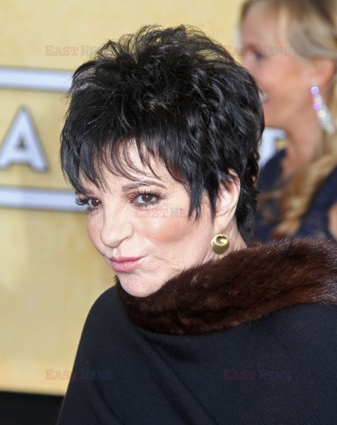 Screen Actors Guild Award