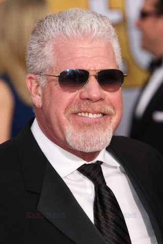 Screen Actors Guild Award