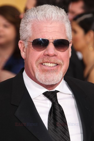 Screen Actors Guild Award