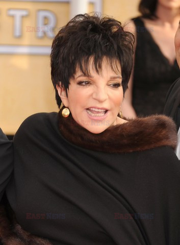 Screen Actors Guild Award