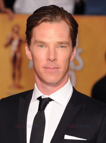 Screen Actors Guild Award