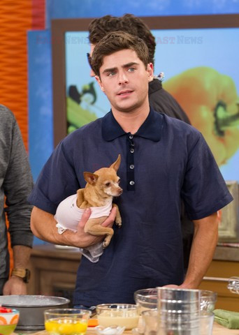 Gwiazdy w talk shows