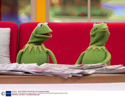 Gwiazdy w talk shows