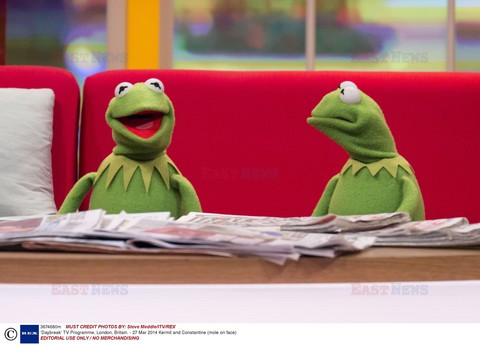 Gwiazdy w talk shows