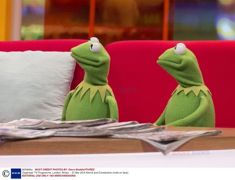 Gwiazdy w talk shows