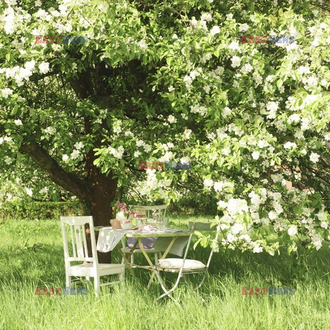 Czas kwitnących jabłoni - Jalag Syndication