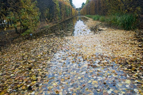 Pomorze MarMi