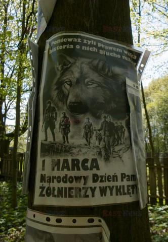 Polska Andrzej Zbraniecki