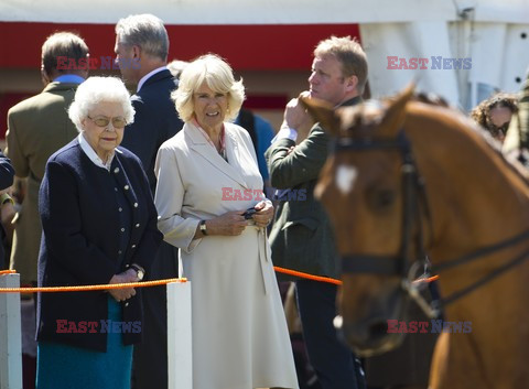 Królowa Elżbieta na pokazach koni
