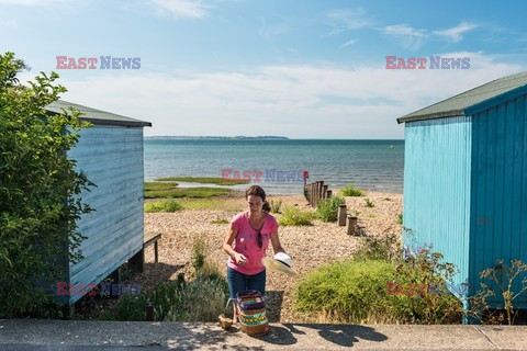 Osiedle domków plażowych Whitstable, Kent - Andreas Von Einsiedel